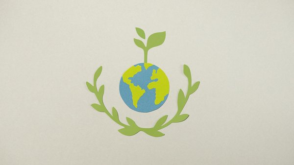 Animation magicien mariage: mathieu grant, votre expert en magie