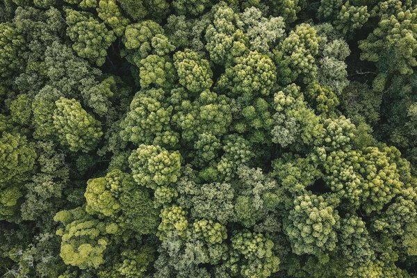 Formation, travail et création d'entreprise : démarrez votre aventure entrepreneuriale