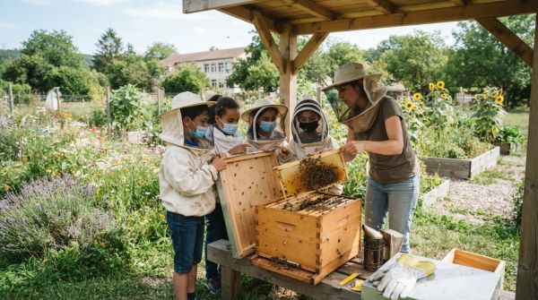 Comment les écoles peuvent-elles utiliser l'apiculture pour enseigner les sciences naturelles ?
